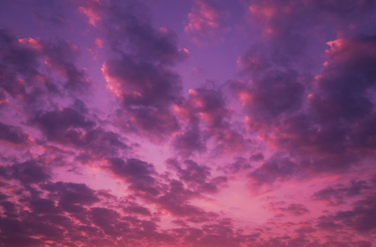 purple sky.jpg